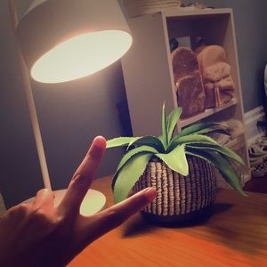 Meet your Posher, Kimi